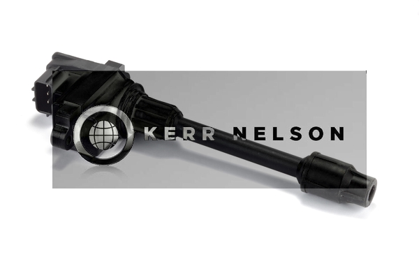 Kerr Nelson IIS029