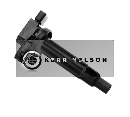 Kerr Nelson IIS030