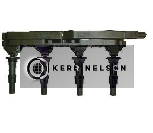 Kerr Nelson IIS031