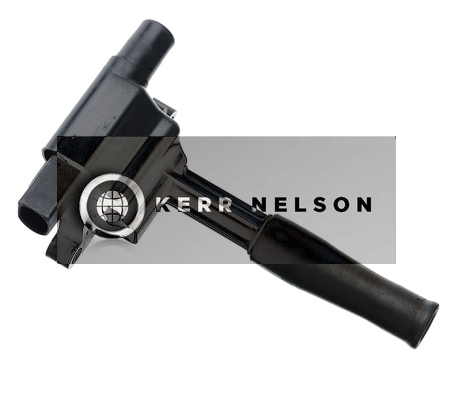 Kerr Nelson IIS036