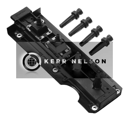 Kerr Nelson IIS038