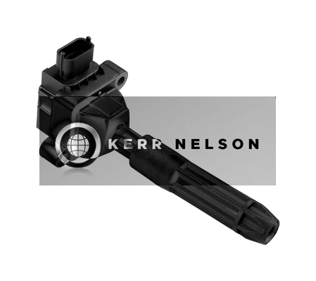 Kerr Nelson IIS039