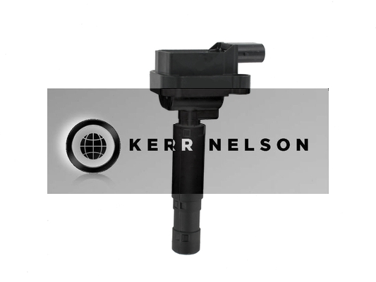 Kerr Nelson IIS046