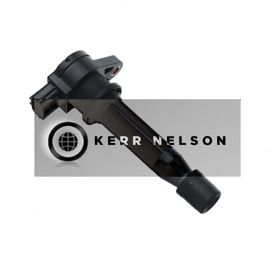 Kerr Nelson IIS049