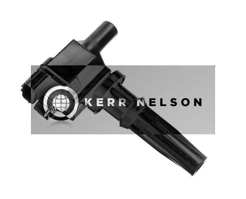 Kerr Nelson IIS050