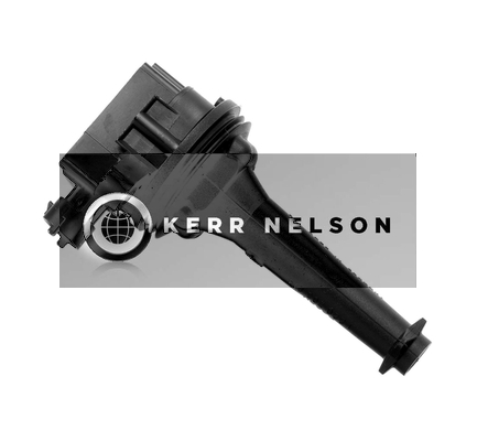 Kerr Nelson IIS053