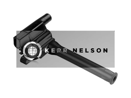 Kerr Nelson IIS055