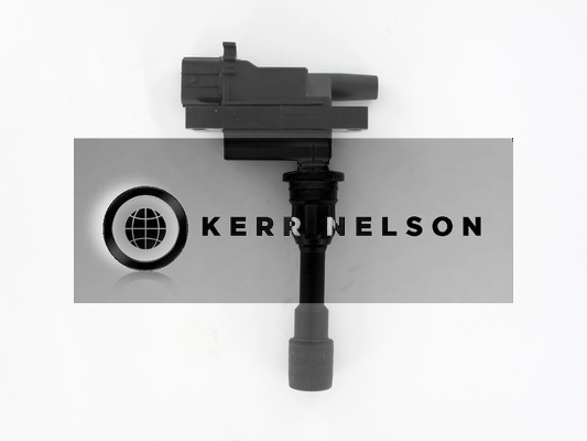 Kerr Nelson IIS058
