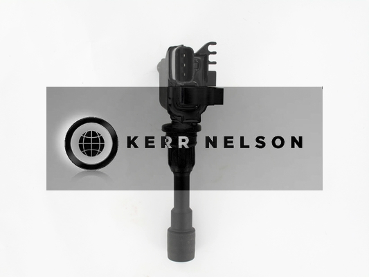 Kerr Nelson IIS058