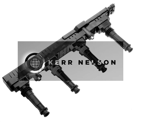 Kerr Nelson IIS064