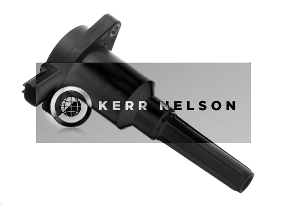 Kerr Nelson IIS074