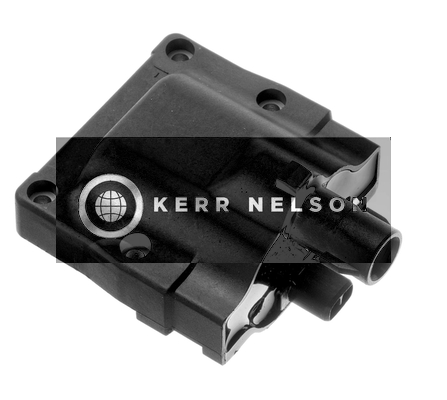 Kerr Nelson IIS081