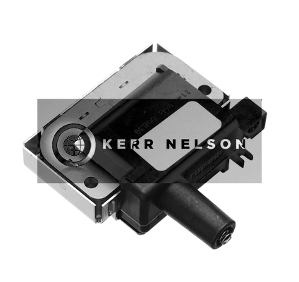 Kerr Nelson IIS082