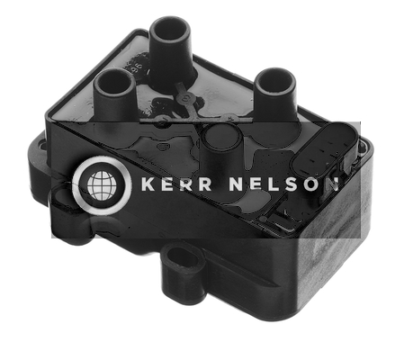 Kerr Nelson IIS090