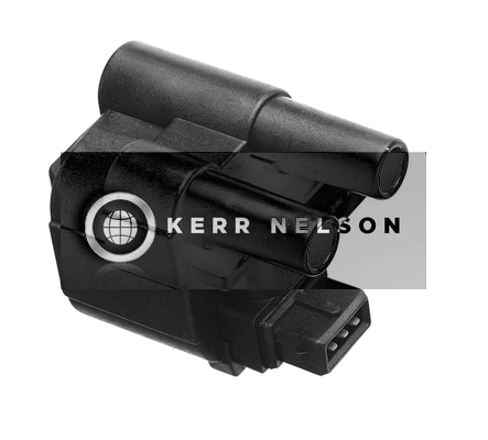 Kerr Nelson IIS091