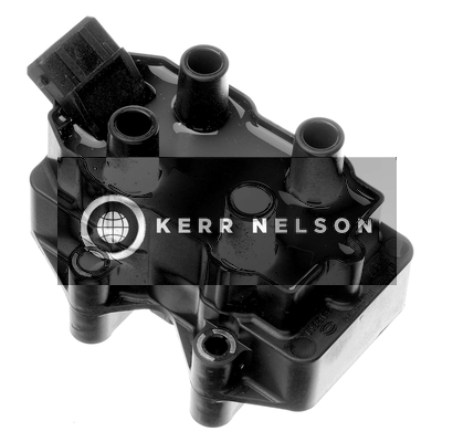 Kerr Nelson IIS114