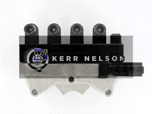 Kerr Nelson IIS117