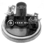 Kerr Nelson IIS126