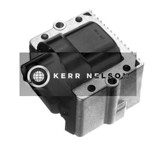 Kerr Nelson IIS133