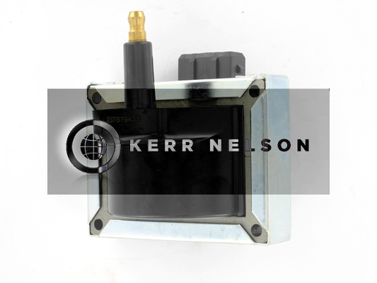 Kerr Nelson IIS137