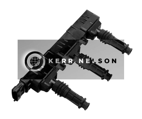 Kerr Nelson IIS140