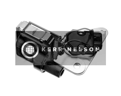 Kerr Nelson IIS142