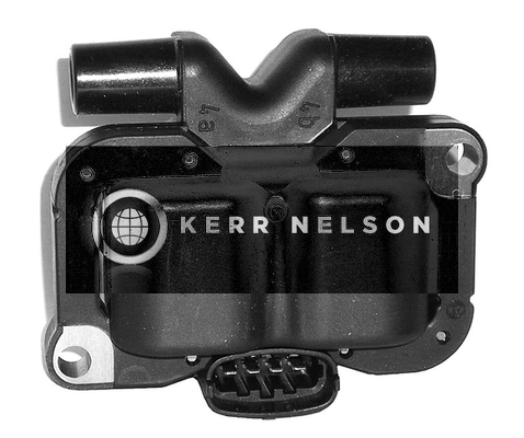 Kerr Nelson IIS147