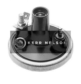 Kerr Nelson IIS148