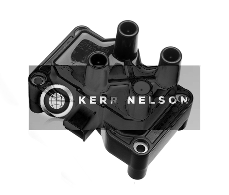 Kerr Nelson IIS151