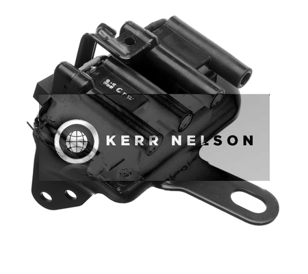 Kerr Nelson IIS152