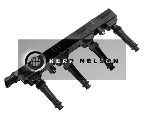 Kerr Nelson IIS153