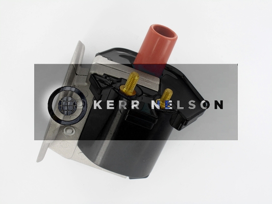 Kerr Nelson IIS158