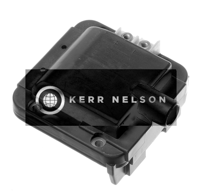 Kerr Nelson IIS163