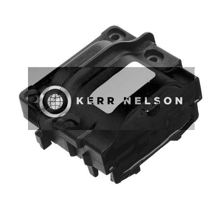 Kerr Nelson IIS165