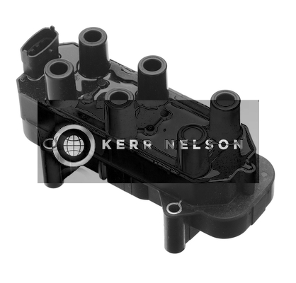 Kerr Nelson IIS166