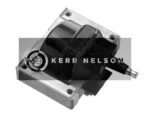 Kerr Nelson IIS168