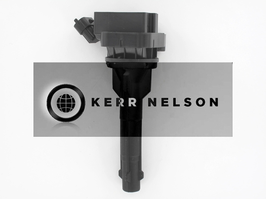 Kerr Nelson IIS170