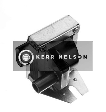 Kerr Nelson IIS171