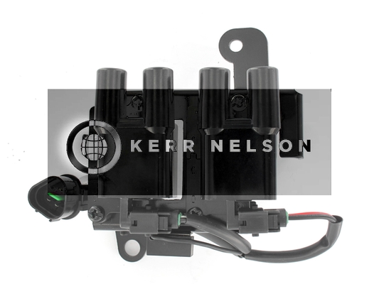 Kerr Nelson IIS173