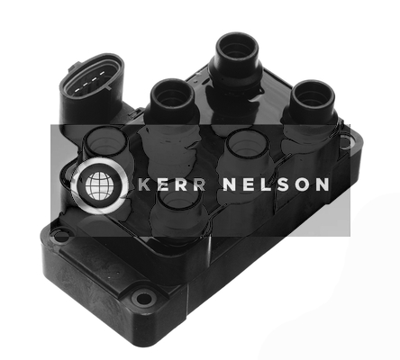 Kerr Nelson IIS176