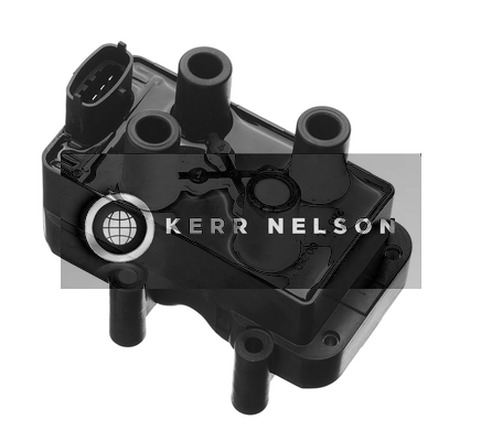 Kerr Nelson IIS177