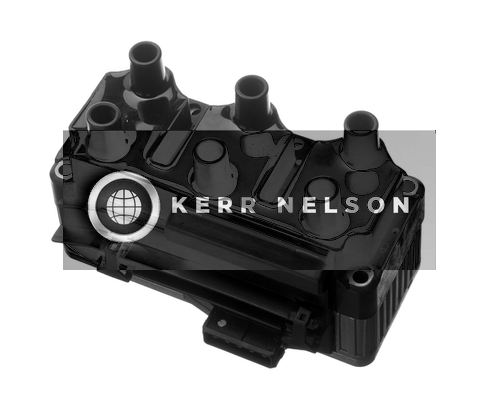 Kerr Nelson IIS179