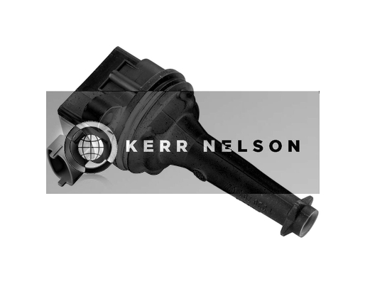 Kerr Nelson IIS181