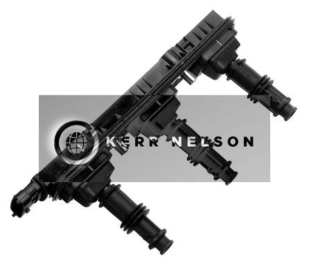 Kerr Nelson IIS187