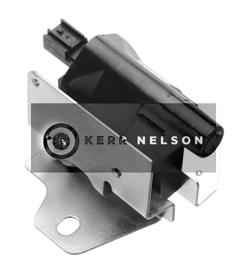 Kerr Nelson IIS193