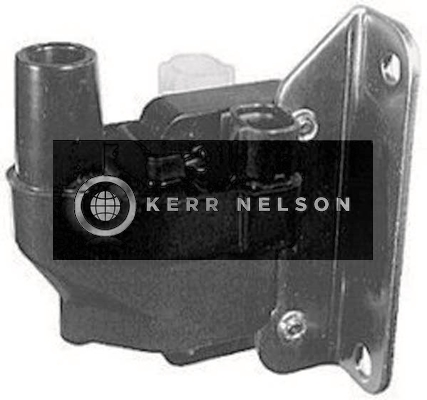 Kerr Nelson IIS194