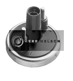 Kerr Nelson IIS200