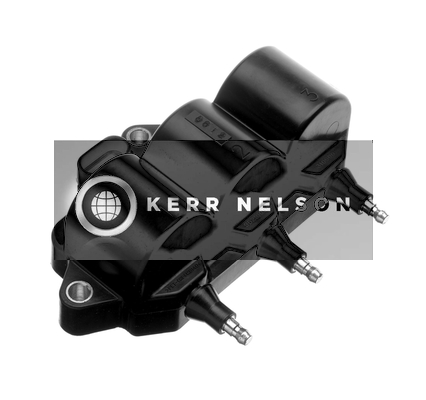 Kerr Nelson IIS214