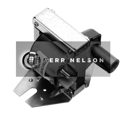 Kerr Nelson IIS216