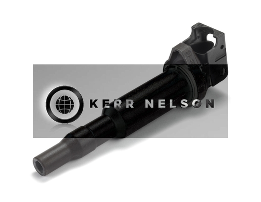 Kerr Nelson IIS218